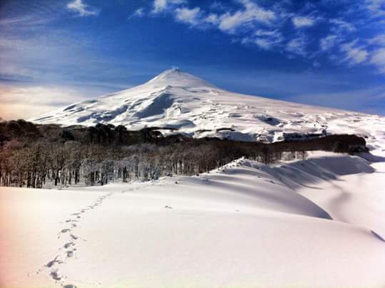 Fotografía 6 de Cabañas en Lican-Ray en Villarrica, Araucania