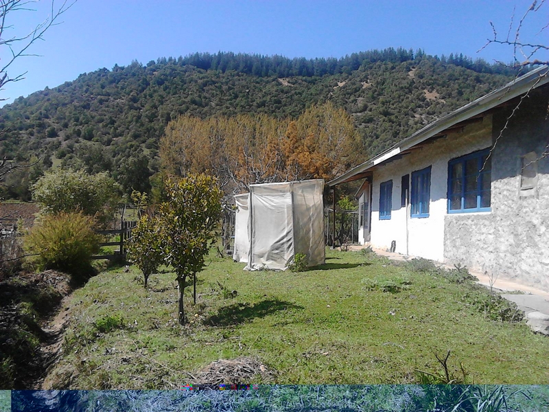 Fotografía 4 de Arriendo Cabañas y casa entorno campestre Altos del Lircay en San Clemente, Maule
