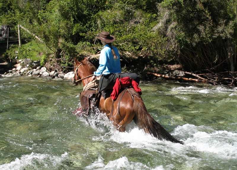 Fotografía 7 de Montar a caballo en el sur de Chile en Pucon, Araucania