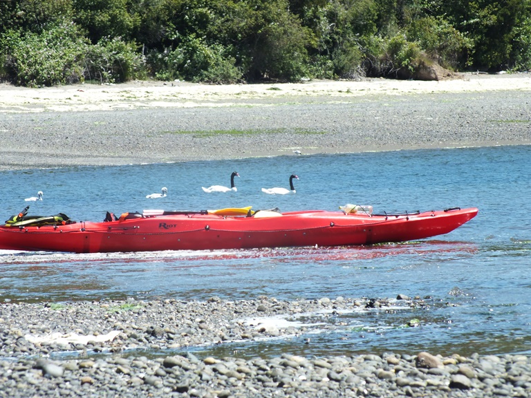 Fotografía 5 de Travesia Canal Dalcahue  en Dalcahue, Los Lagos