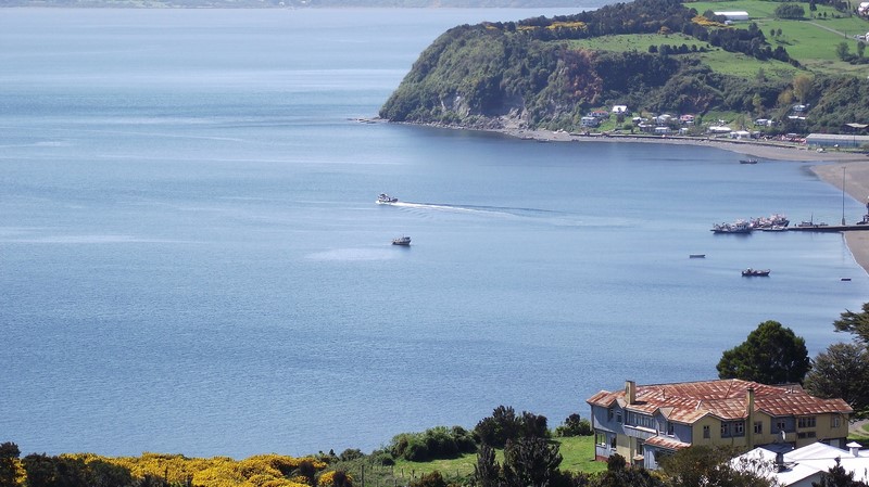Fotografía 3 de Turismo Pangue Chiloe en Castro, Los Lagos