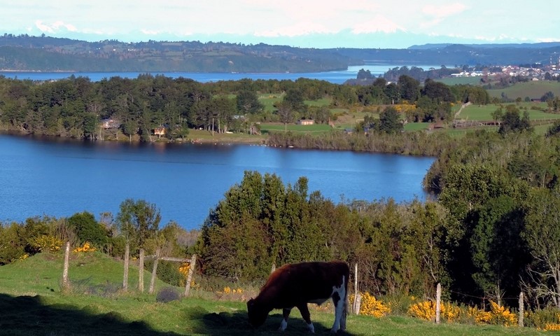 Fotografía 4 de Turismo Pangue Chiloe en Castro, Los Lagos