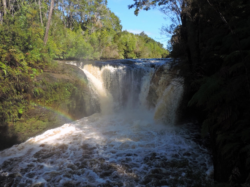 Fotografía 3 de Trekking Parque Tepuhueico en Castro, Los Lagos
