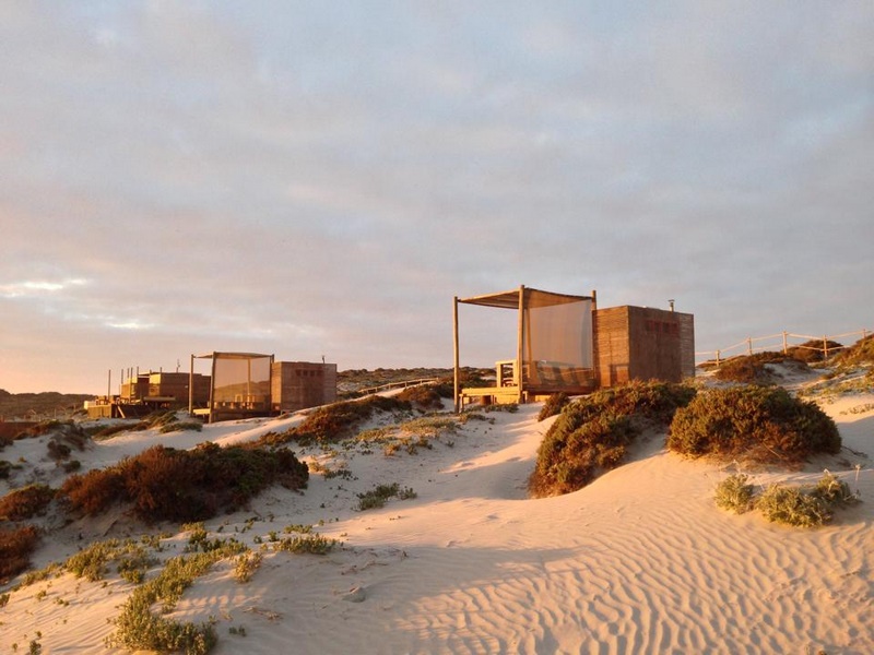 Fotografía 12 de Camping Ecológico en Punta de Choros en La Higuera, Coquimbo