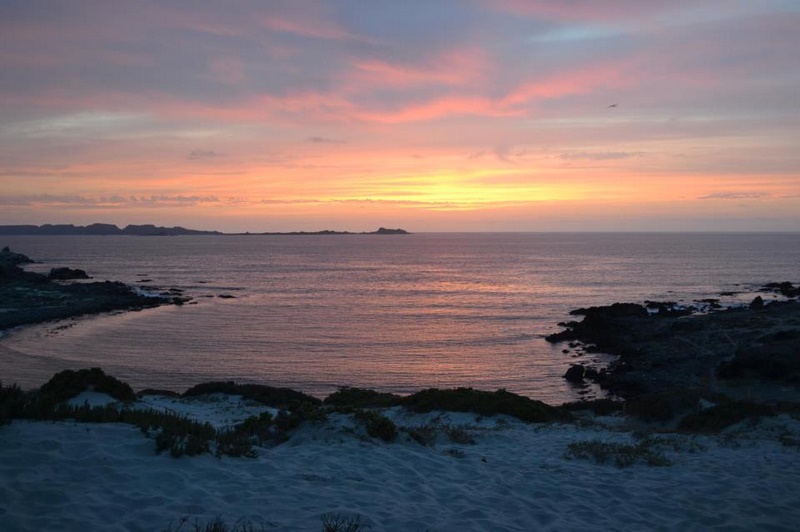 Fotografía 7 de Camping Ecológico en Punta de Choros en La Higuera, Coquimbo
