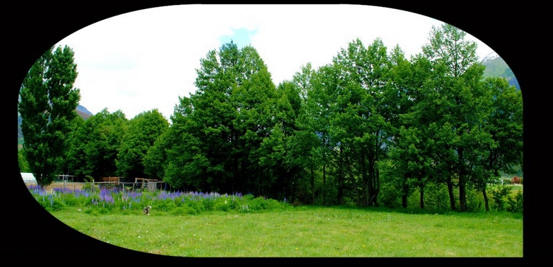 Fotografía 15 de Camping y Refugio en Aysen, Aysen