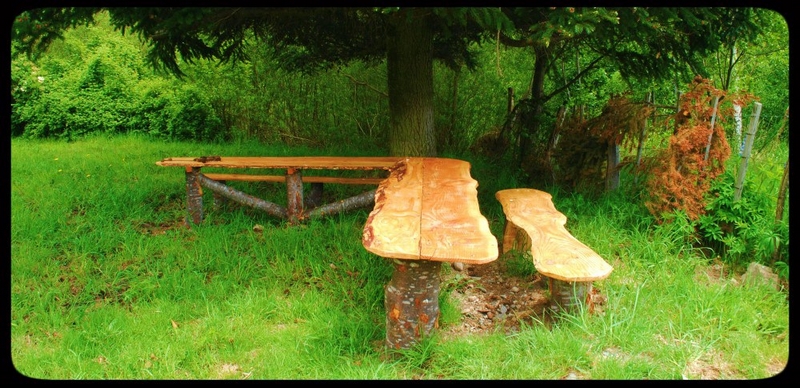 Fotografía 16 de Camping y Refugio en Aysen, Aysen