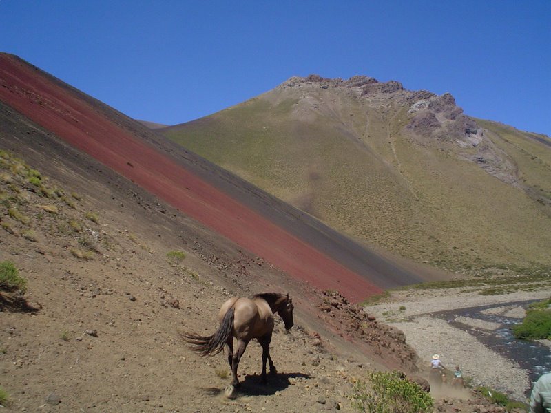 Fotografía 5 de Bienvenido a Rincon Suizo en Colbun, Maule