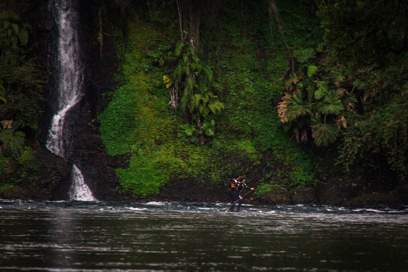 Fotografía 11 de Travesias en Stand up Paddle en Valdivia, Los Rios