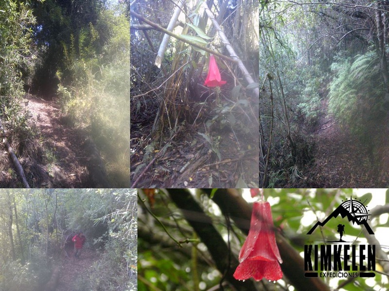 Fotografía 10 de Turismo Aventura en Llifen en Futrono, Los Rios