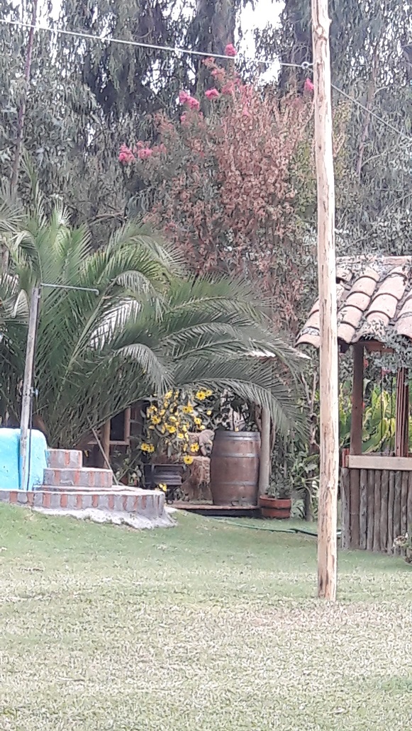 Fotografía 3 de Cabañas y spa en zona campestre en Coltauco, Ohiggins