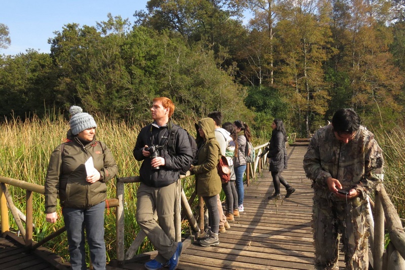 Fotografía 16 de Conocer es proteger y proteger es conservar en Valdivia, Los Rios