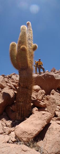 Fotografía 11 de Turismo Aventura en Lican Ray y Atacama en Villarrica, Araucania