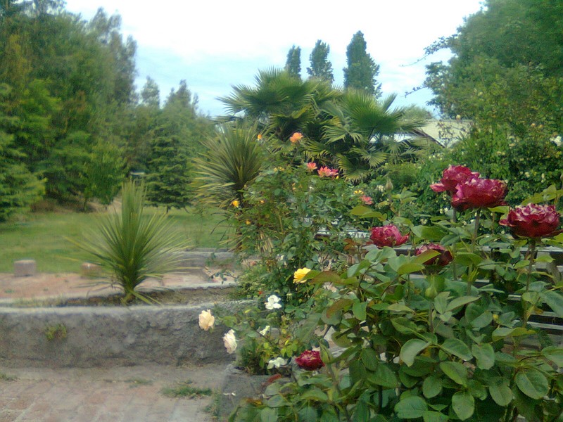 Fotografía 2 de Cabañas Alojamiento Eventos quintruy Isla de Maipo en Isla De Maipo, Metropolitana
