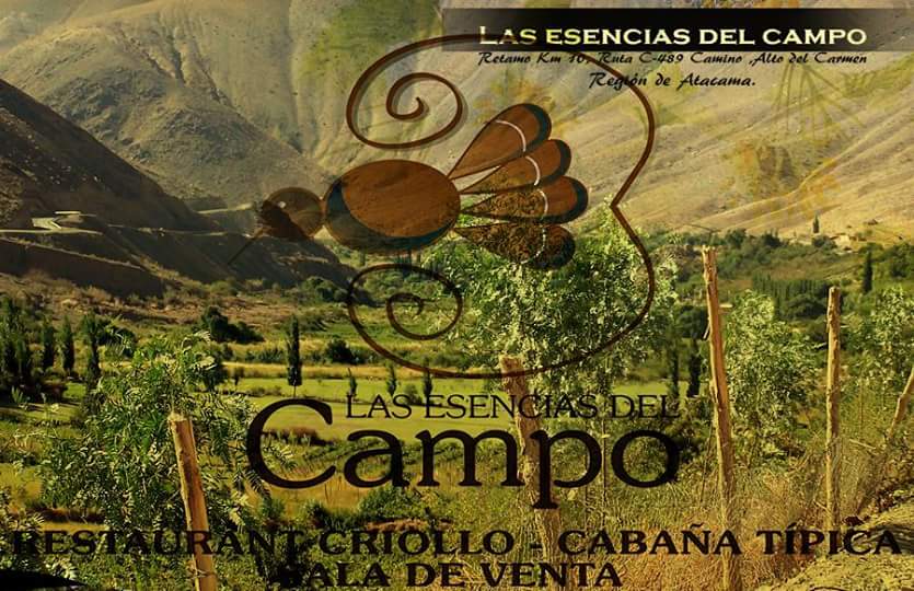 Fotografía 8 de Restaurante comida típica y cabañas en Alto Del Carmen, Atacama
