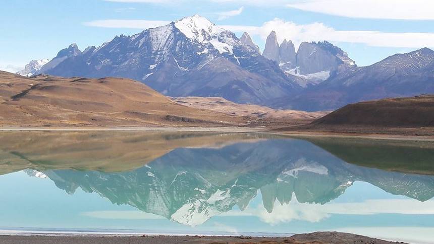 Fotografía 5 de Torres del Paine - Tierra del Fuego Pinguino Rey en Punta Arenas, Magallanes