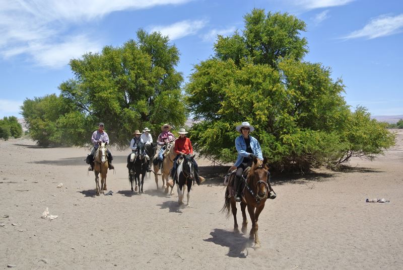 Fotografía 15 de La Herradura Atacama Horse Adventure en San Pedro De Atacama, Antofagasta