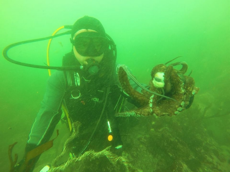 Fotografía 6 de Buceo en Arica en Arica, Arica Y Parinacota
