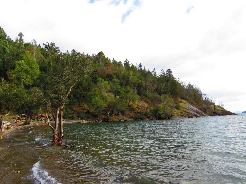 Fotografía 10 de Cabaña el Canto del Chucao en Lago Ranco, Los Rios