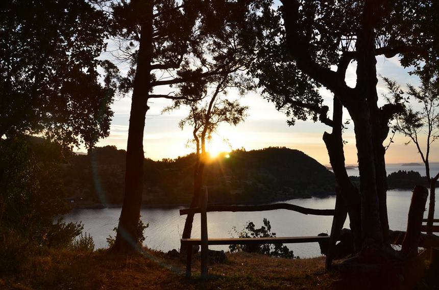 Fotografía 3 de Cabaña el Canto del Chucao en Lago Ranco, Los Rios