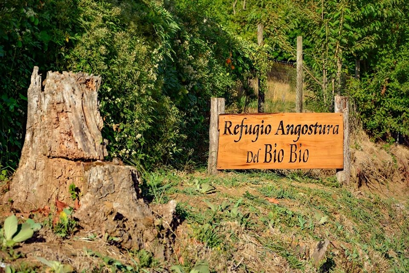 Fotografía 3 de Cabañas Refugio Angostura del Bío Bío en Santa Barbara, Bio Bio