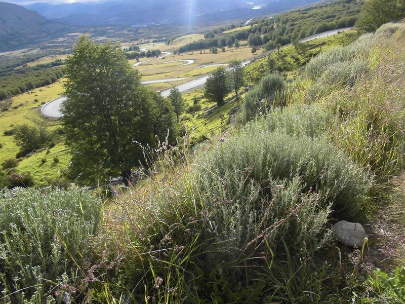 Fotografía 10 de Agroturismo y otros servicios turísticos, Cerro Castillo Aysen en Rio Ibañez, Aysen