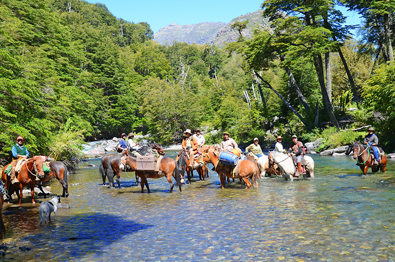 Fotografía 15 de Cabalgatas sur de chile en Coihueco, Bio Bio