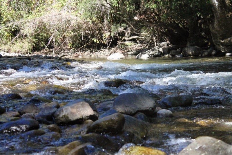Fotografía 17 de Camping en la Araucanía en Pucon, Araucania