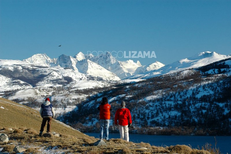Fotografía 19 de Photo Safaris Torres del Paine en Puerto Natales, Magallanes