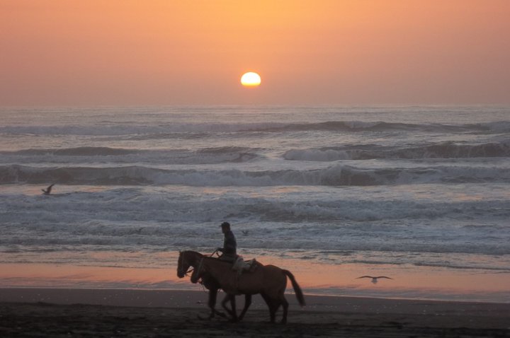 Fotografía 12 de Atractivos turísticos playas de Iloca, región del Maule en Licanten, Maule