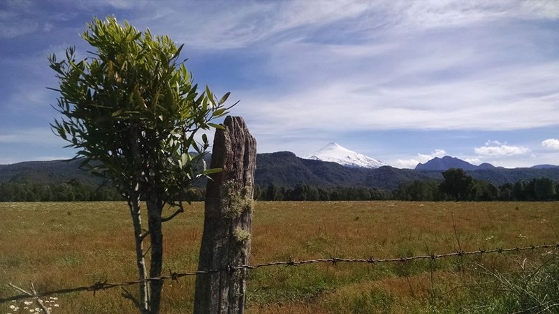 Fotografía 3 de Cabañas Pucon Entre Hualles y Pellines en Pucon, Araucania