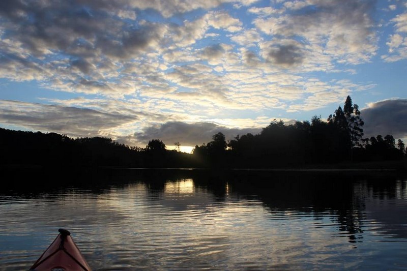 Fotografía 9 de Kayak en ríos y humedales de valdivia  en Valdivia, Los Rios