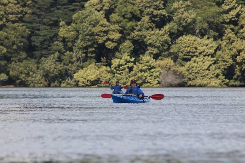 Fotografía 12 de Kayak en ríos y humedales de valdivia  en Valdivia, Los Rios