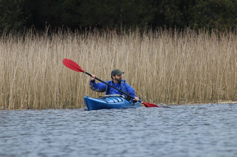 Fotografía 16 de Kayak en ríos y humedales de valdivia  en Valdivia, Los Rios