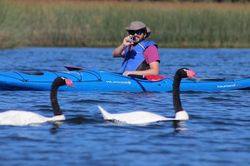 Fotografía 20 de Kayak en ríos y humedales de valdivia  en Valdivia, Los Rios