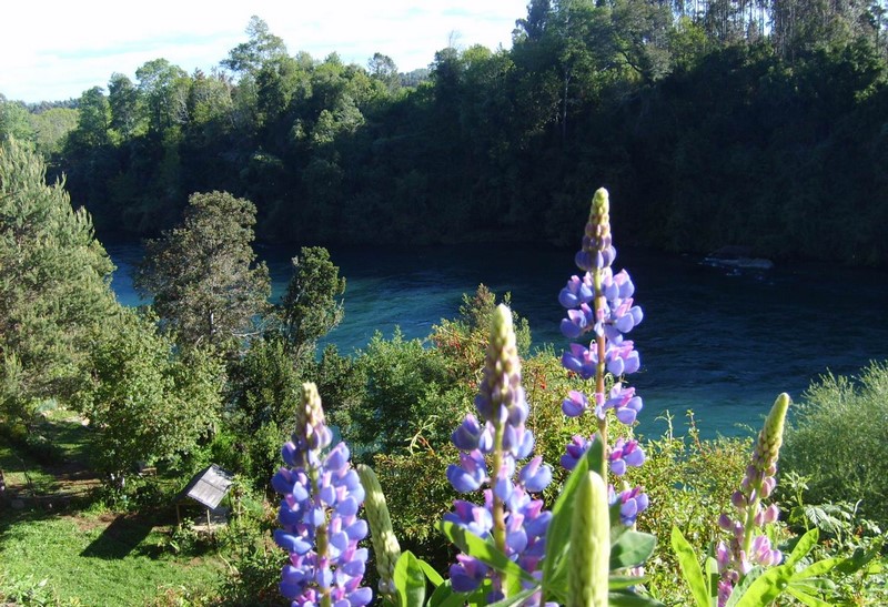 Fotografía 13 de Cabañas Toltín Lodge en Villarrica, Araucania