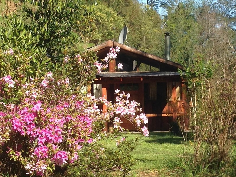 Fotografía 18 de Cabañas Toltín Lodge en Villarrica, Araucania