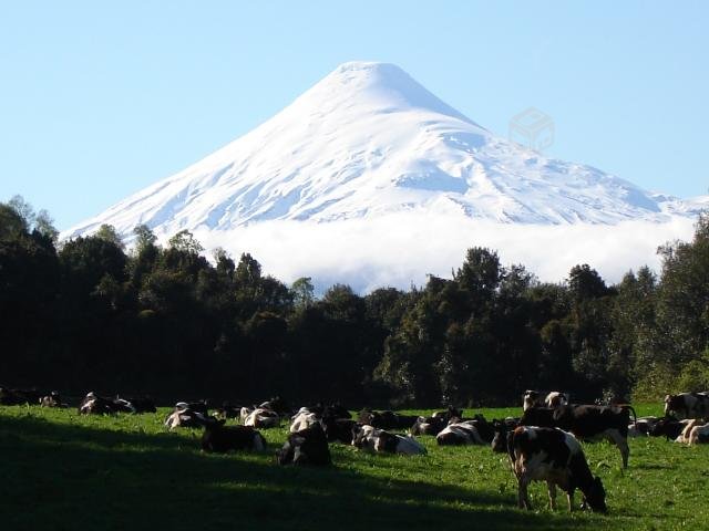 Fotografía 11 de Taxi Tour en Puerto Montt, Los Lagos
