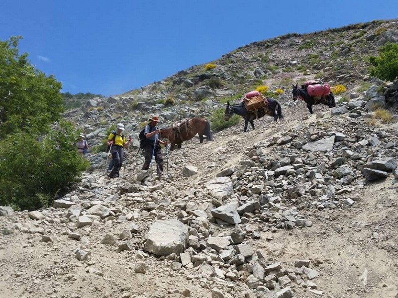 Fotografía 16 de Trekking, caminatas y excursiones organizados en la Síptima Región en Talca, Maule
