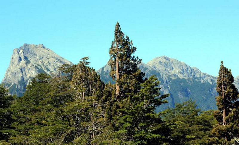 Fotografía 17 de Montañismo en Lago Rupanco en Puerto Octay, Los Lagos