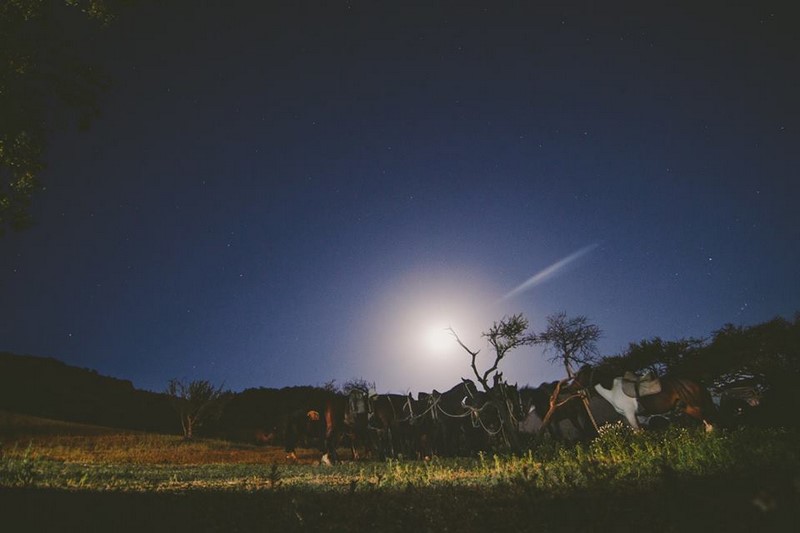 Fotografía 10 de Cabalgatas Nocturnas  en Vitacura, Metropolitana
