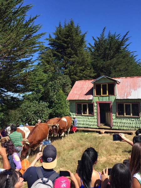 Fotografía 2 de Fiestas Costumbristas 2017 Ancud, Chiloí en Ancud, Los Lagos