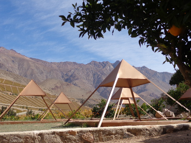 Fotografía 20 de Tours Mistico en Valle de Elqui en Paihuano, Coquimbo