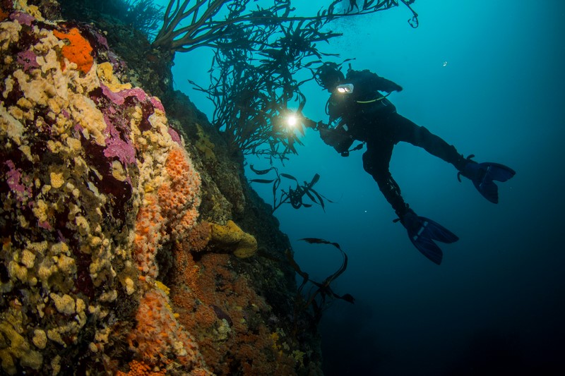 Fotografía 11 de Buceo con Clave 70 en Concepción en Concepcion, Bio Bio