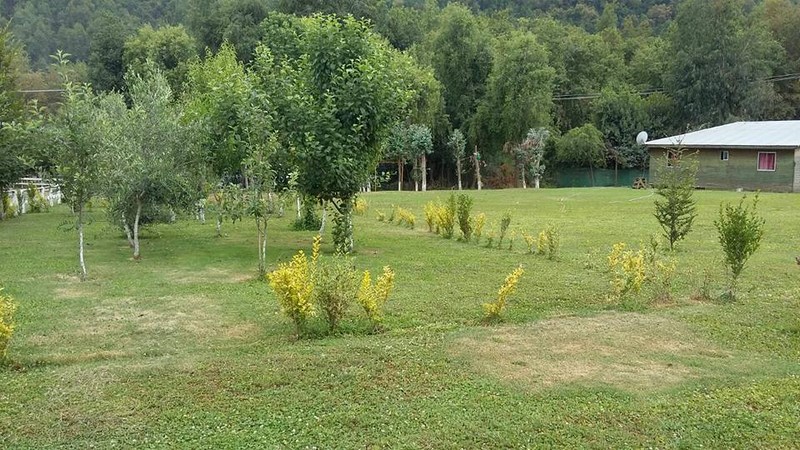 Fotografía 10 de Cabañas Los Campitos en Molina, Maule