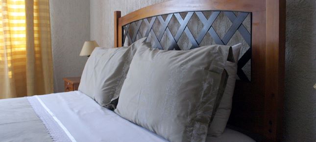 Fotografía 13 de Hostal Viñedos en Curico, Maule