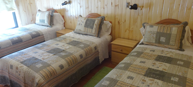 Fotografía 6 de Hostal Viñedos en Curico, Maule