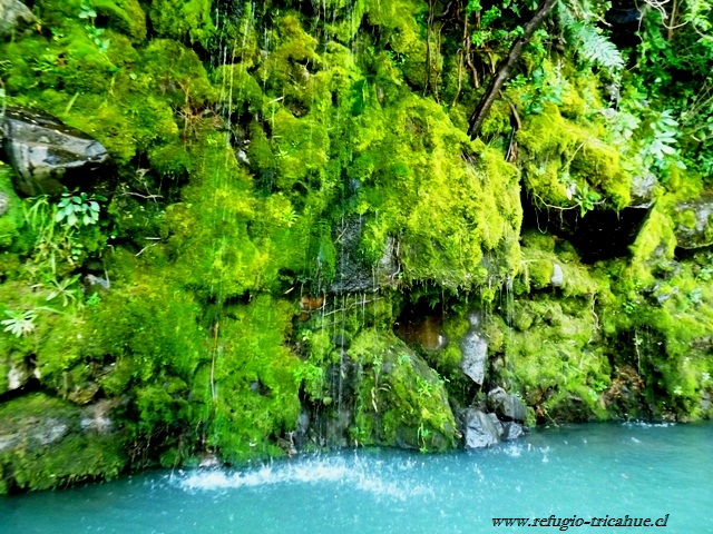 Fotografía 5 de Refugio del Tricahue en San Clemente, Maule