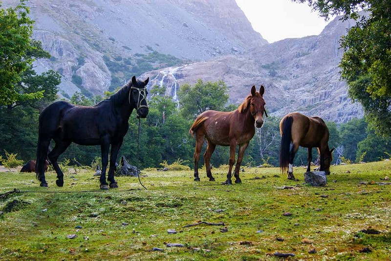 Fotografía 16 de Refugio Reten Viejo en Linares, Maule
