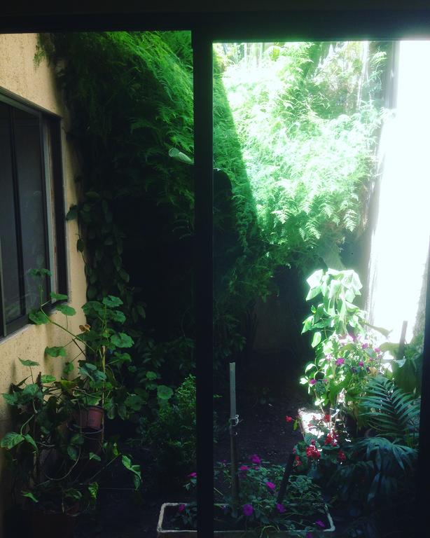 Fotografía 6 de Residencial Normita en Talca en Talca, Maule
